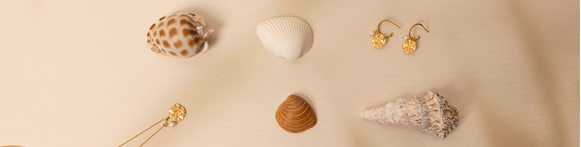 SAND DOLLAR CAPSULE BY WONDER CO