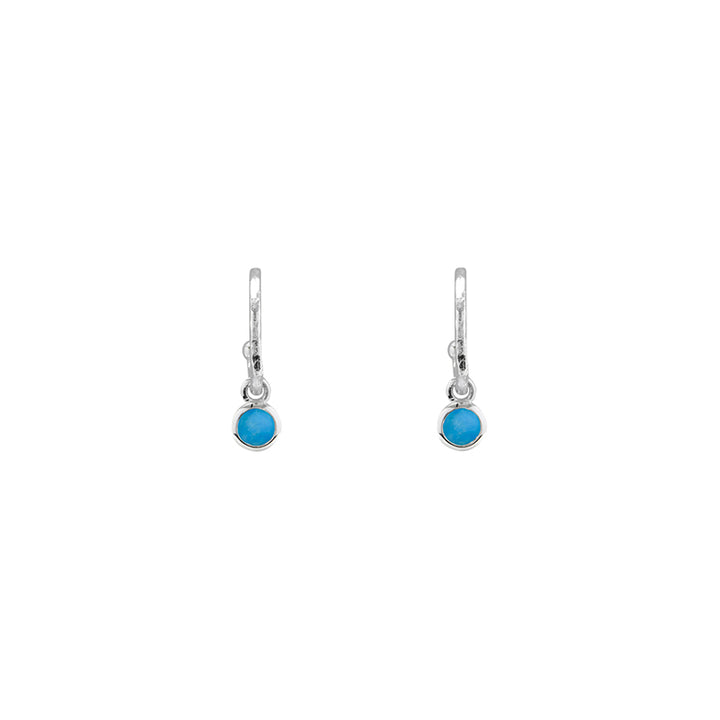 DECEMBER BIRTHSTONE EARRINGS