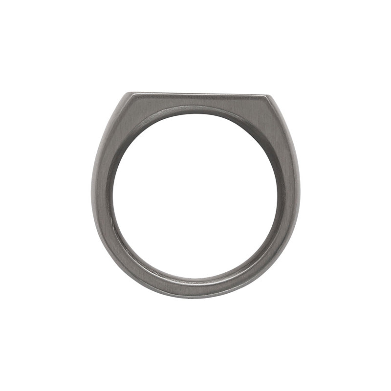 THE PALADIN MENS CARBON FIBRE AND STEEL RING