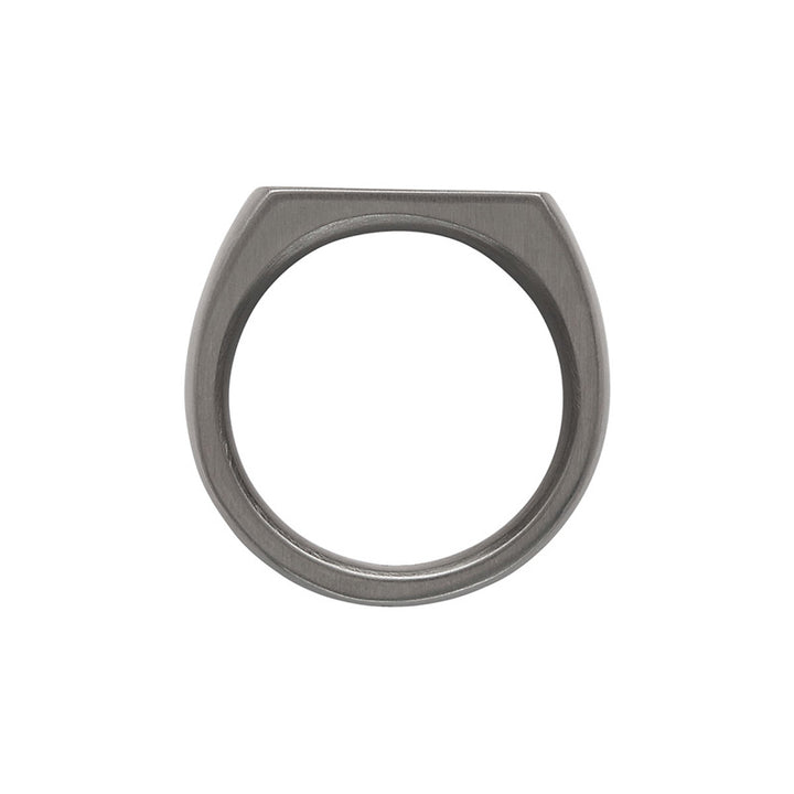 THE PALADIN MENS CARBON FIBRE AND STEEL RING