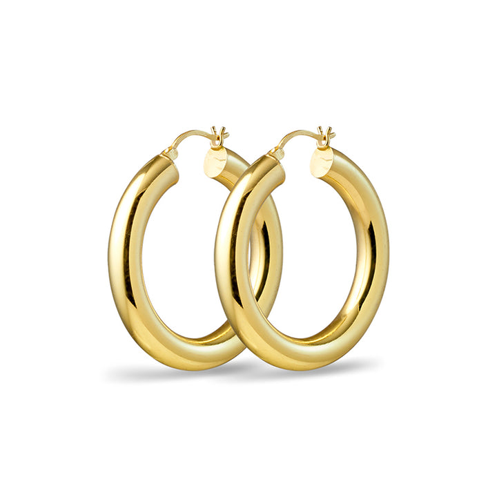 SPIRITED LIGHT HOOPS