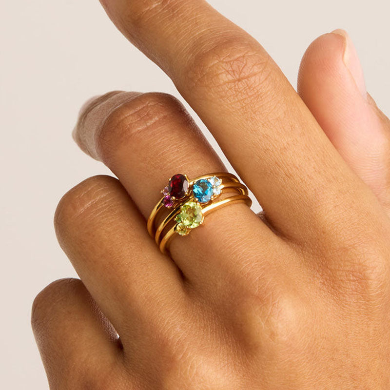 KINDRED BIRTHSTONE RING - JANUARY