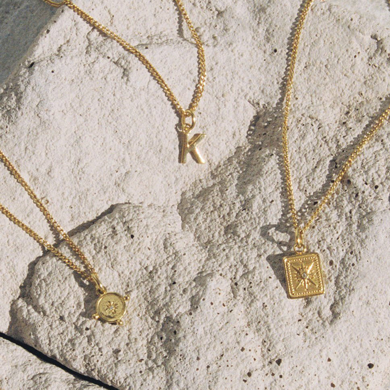 TRUE NORTH COIN CHARM