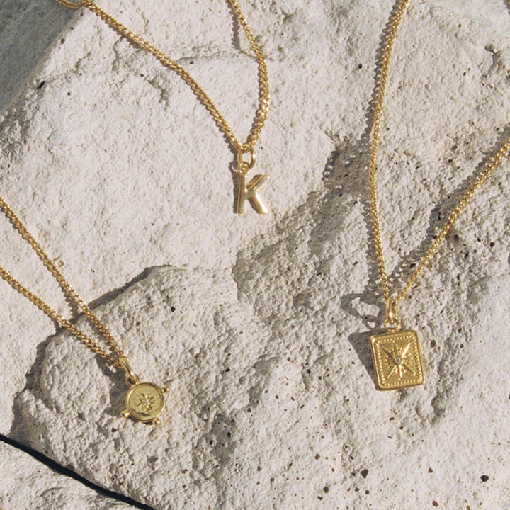 TRUE NORTH COIN CHARM