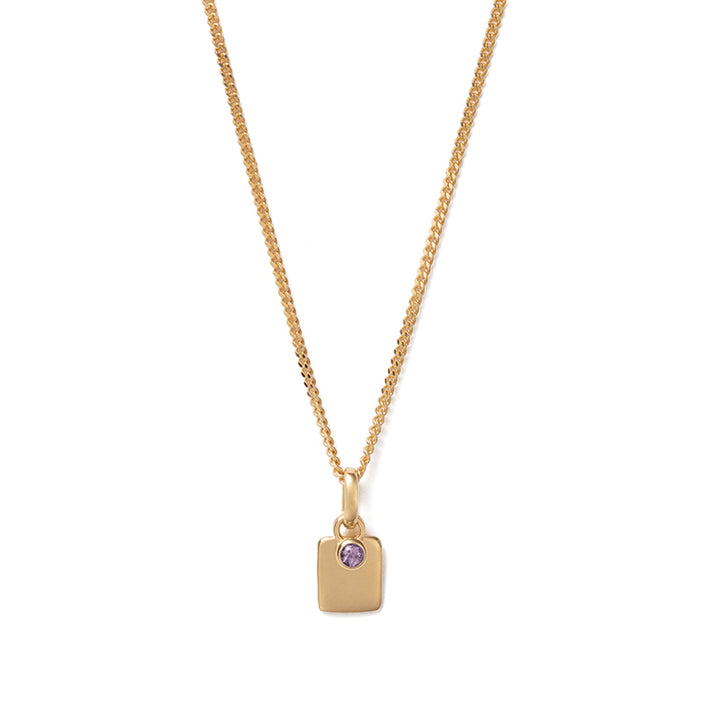 FEBRUARY ENGRAVABLE AMETHYST BIRTHSTONE NECKLACE