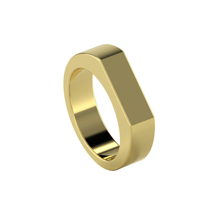 HAZE SIGNET RING
