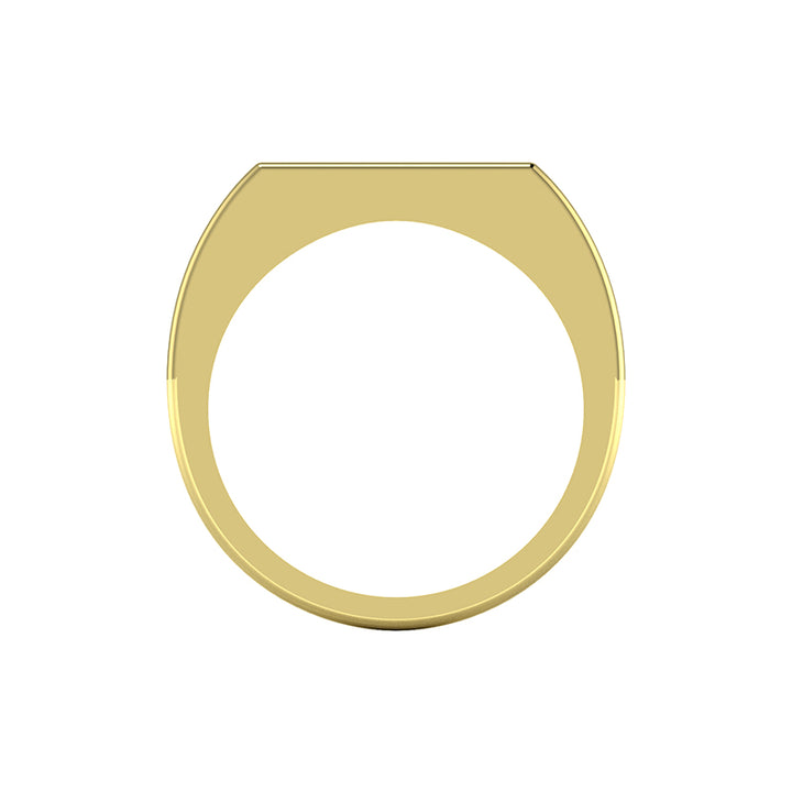 HAZE SIGNET RING