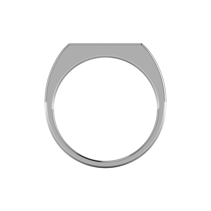 HAZE SIGNET RING