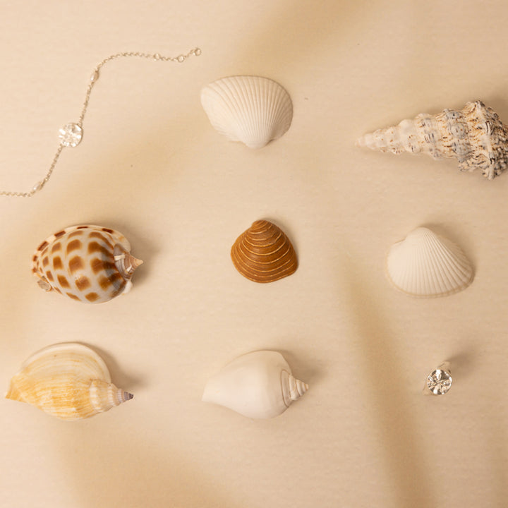 SAND DOLLAR SIGNET RING