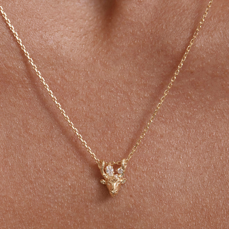 YOU ARE MAGIC ZODIAC NECKLACE TAURUS
