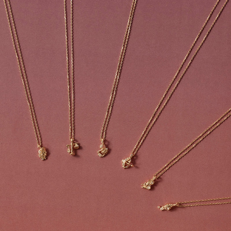 YOU ARE MAGIC ZODIAC NECKLACE AQUARIUS