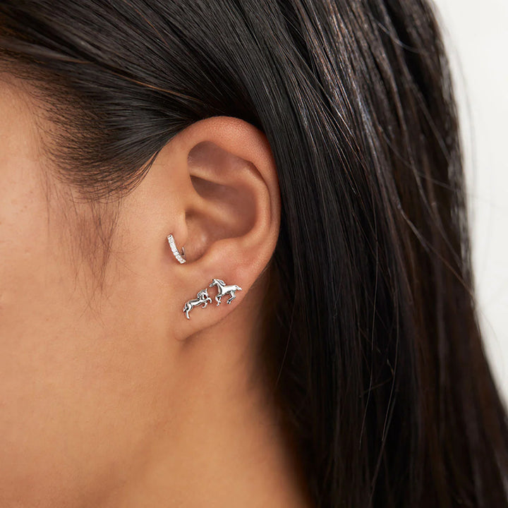EQUUS FERUS STUDS