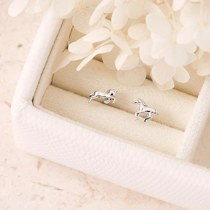 EQUUS FERUS STUDS