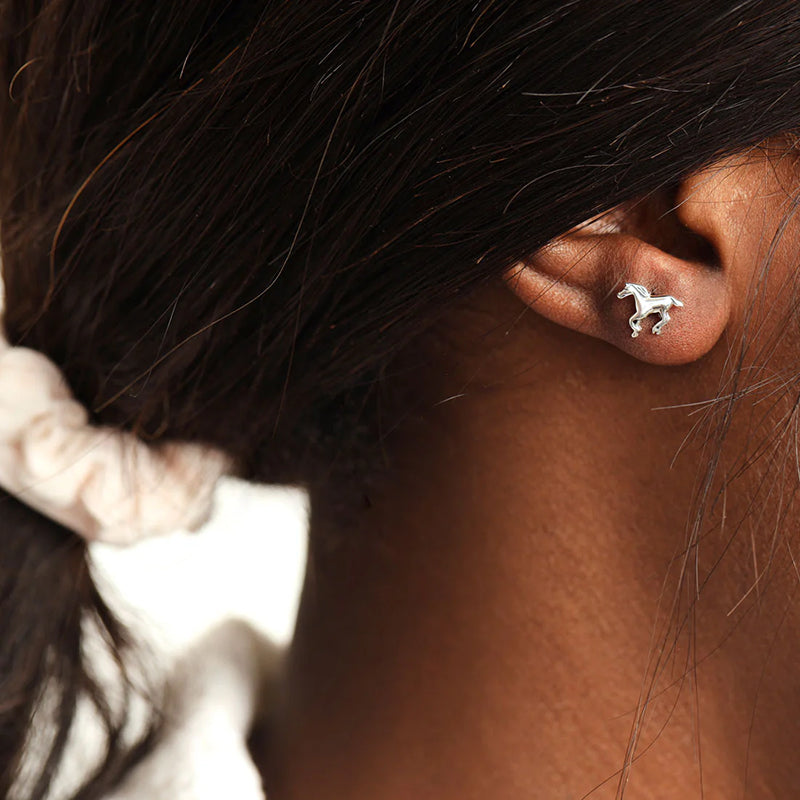 EQUUS FERUS STUDS