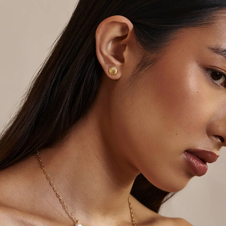 SANDSHELL STUDS