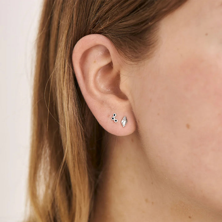 CONCH SEASHELL STUDS