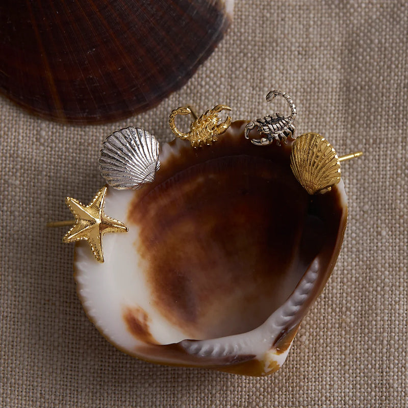 SANDSHELL STUDS
