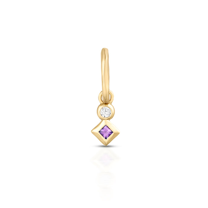 FEBRUARY AMETHYST PETITE CHARM