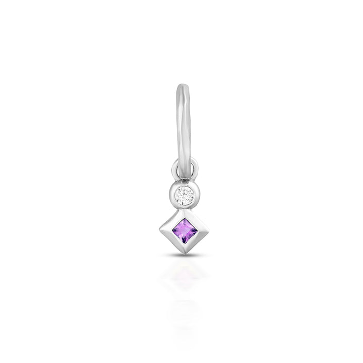 FEBRUARY AMETHYST PETITE CHARM