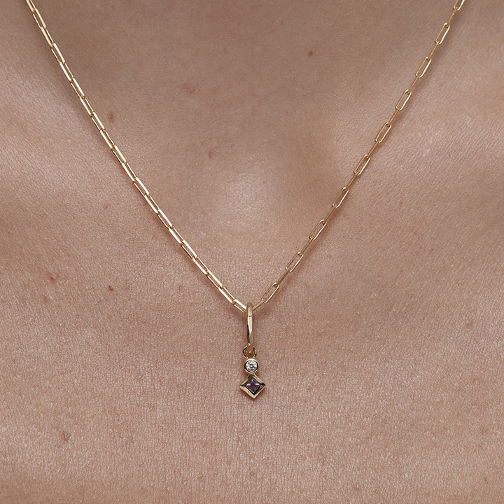 FEBRUARY AMETHYST PETITE CHARM