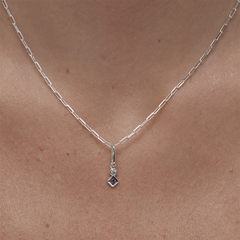 FEBRUARY AMETHYST PETITE CHARM