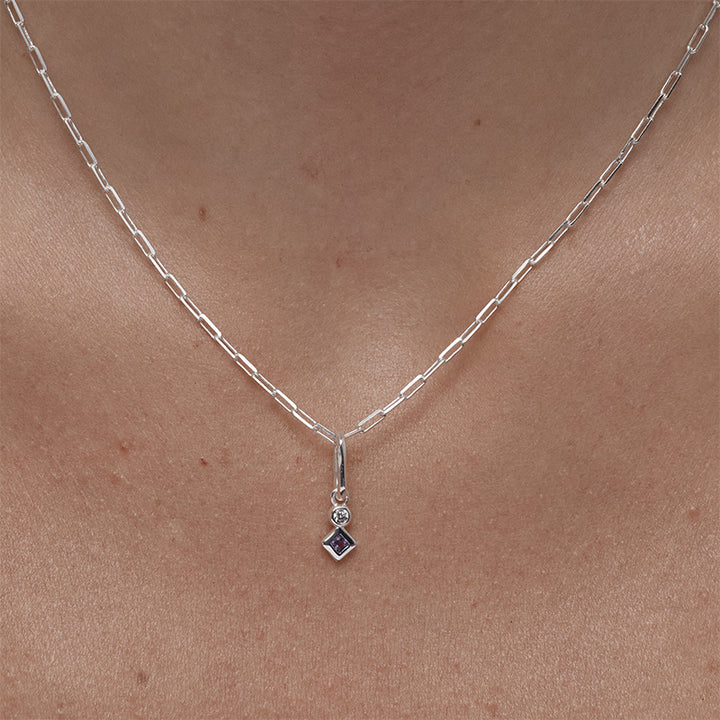 FEBRUARY AMETHYST PETITE CHARM