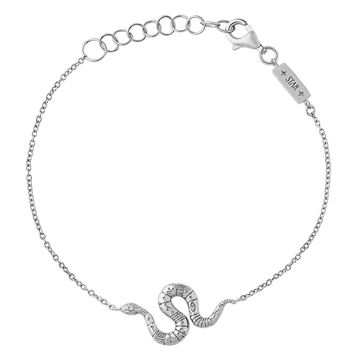 A silver chain bracelet featuring a detailed snake charm in the center, photographed on a clean white background.