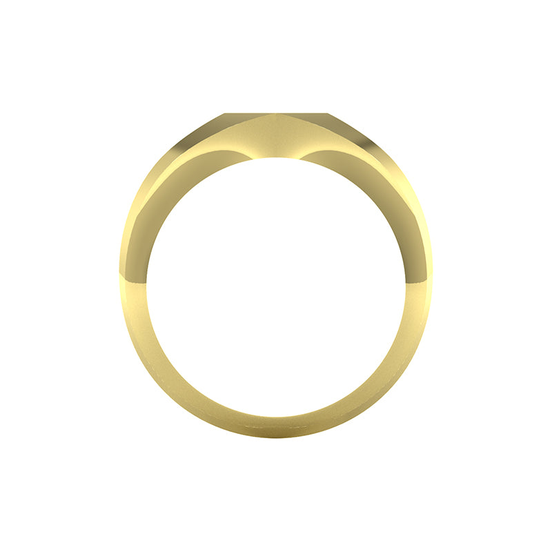 TERRA SIGNET RING