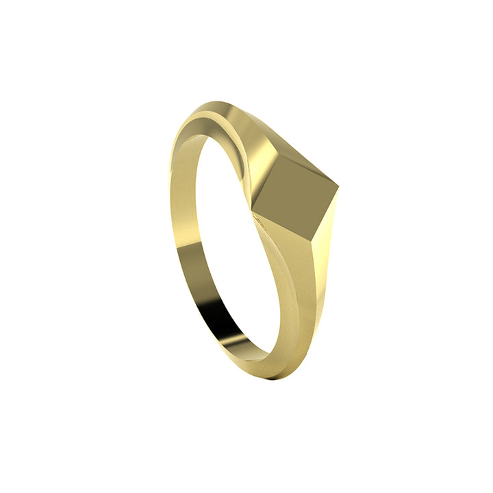 TERRA SIGNET RING