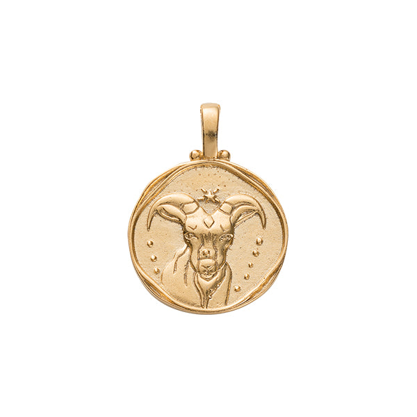 CAPRICORN ZODIAC CHARM