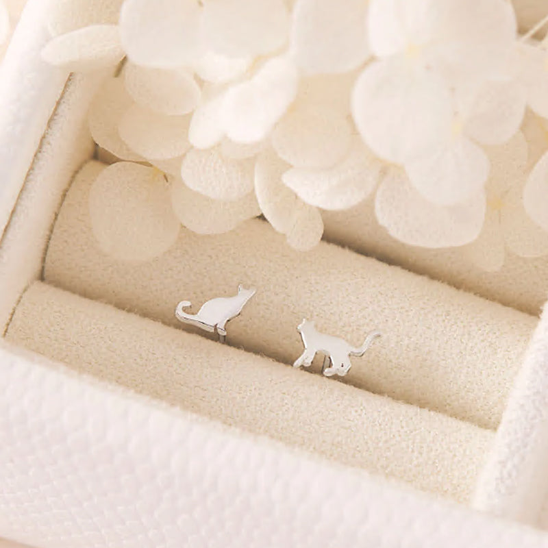 RATHBONE AND NANCY CAT STUDS