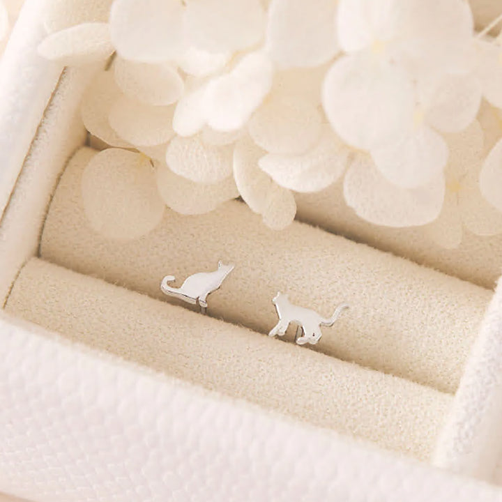 RATHBONE AND NANCY CAT STUDS